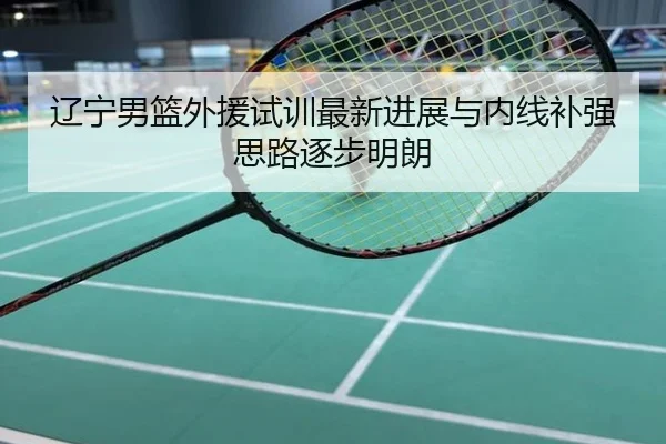 辽宁男篮外援试训最新进展与内线补强思路逐步明朗